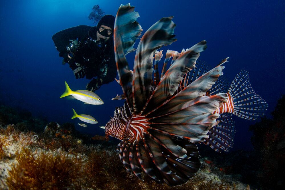 Photograph by ANTONIO RUVER BANDEIRA