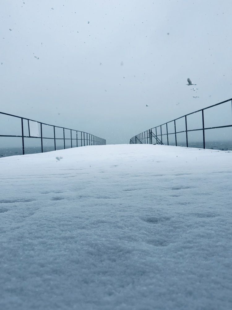 Photograph by Бойкова Наталия