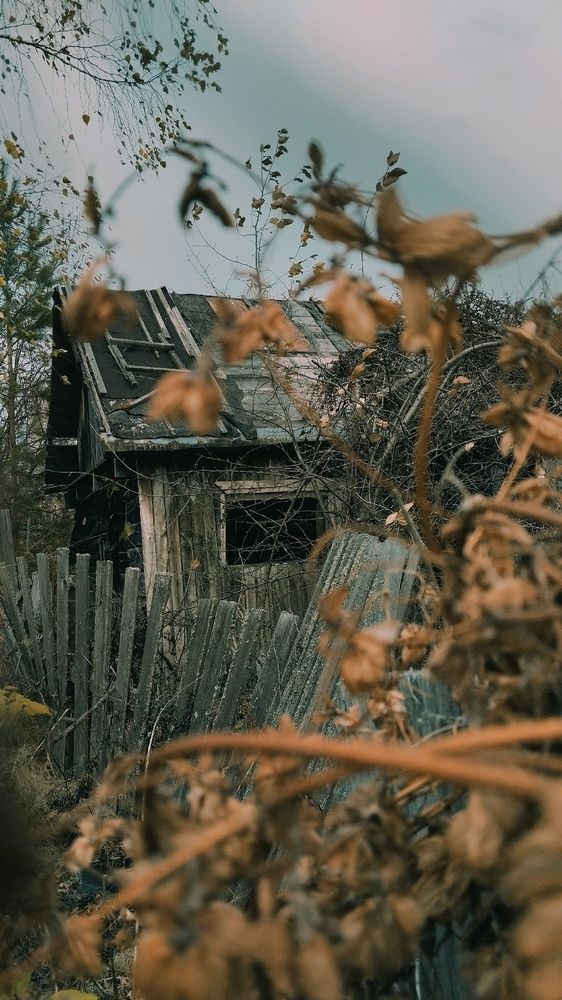 Фотография автора Есения Малышева