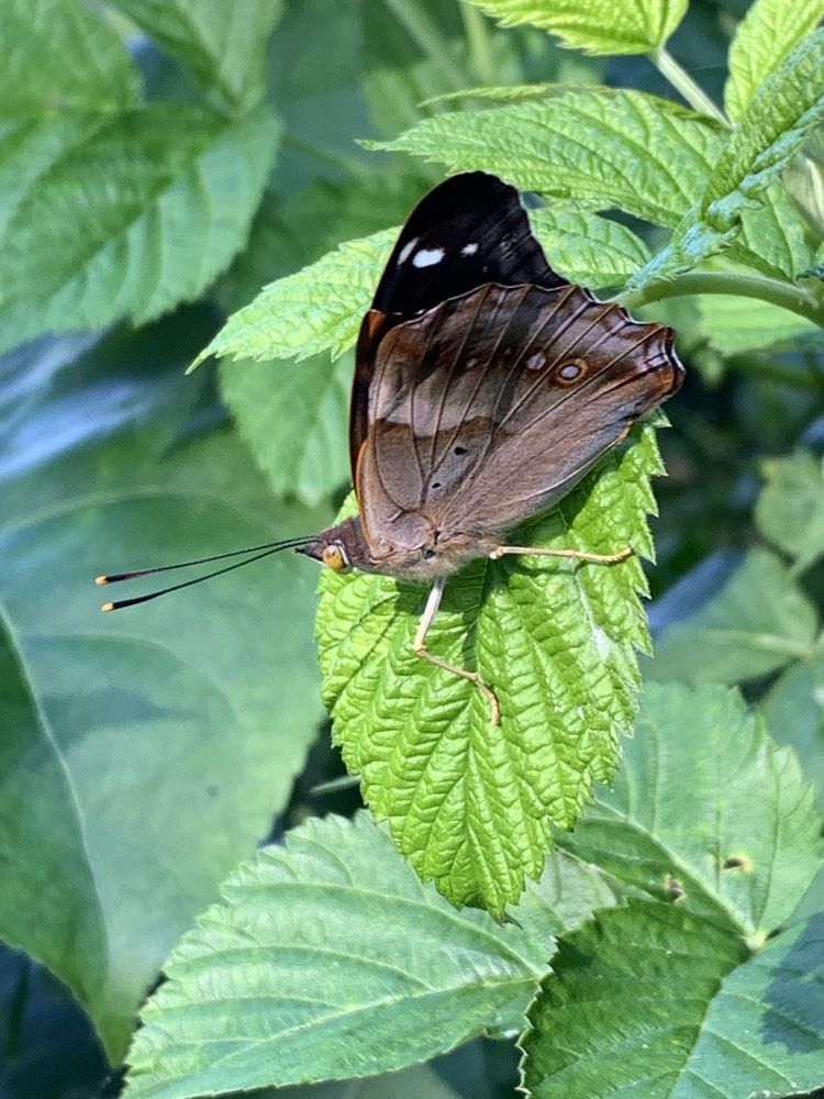 Фотография автора Ирина Шпаковская