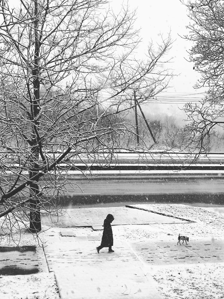Фотография автора Екатерина Солодовник