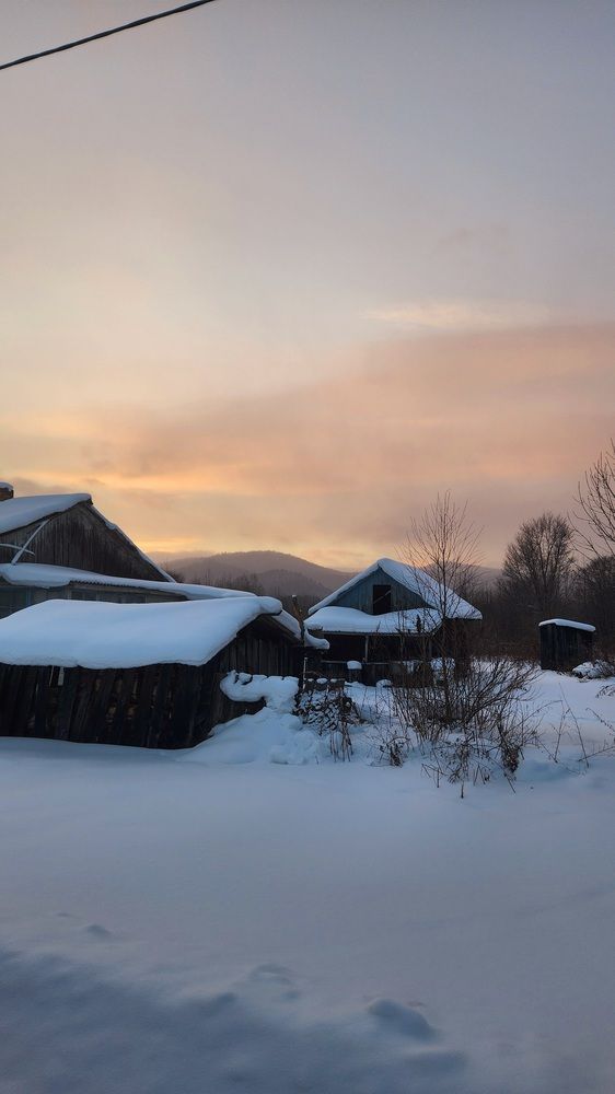 Photograph by Speed Girl