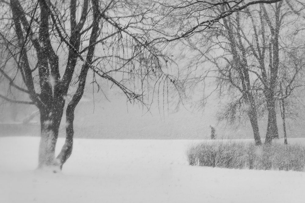 Photograph by Светлана Воробьёва