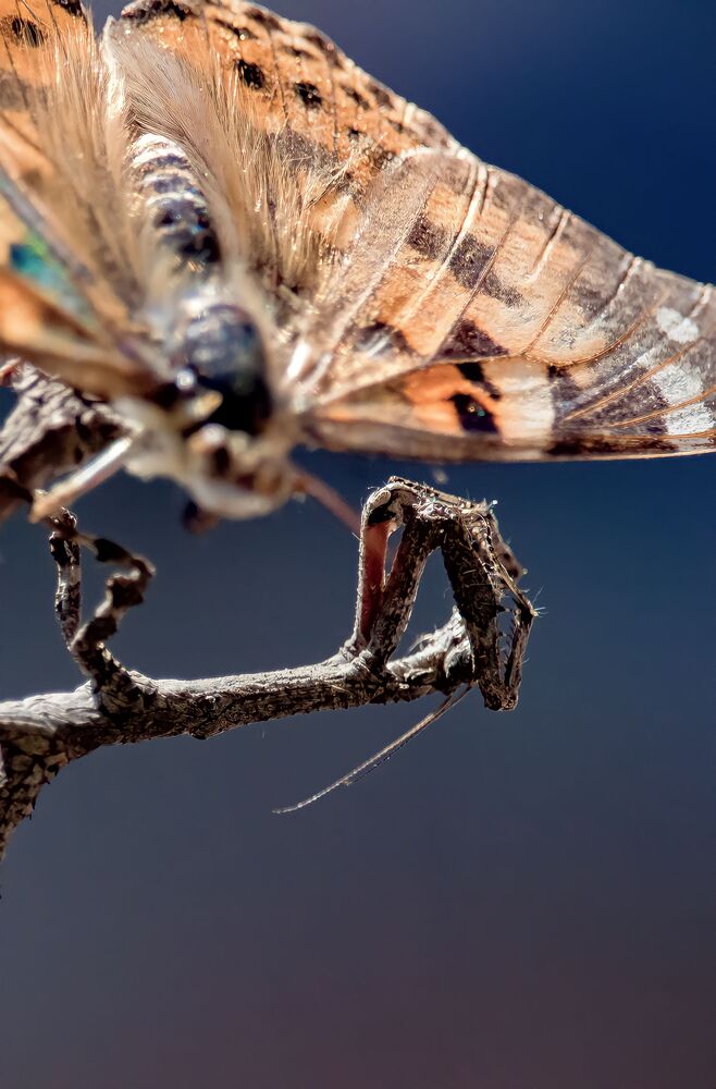 Photograph by Michelle Hart