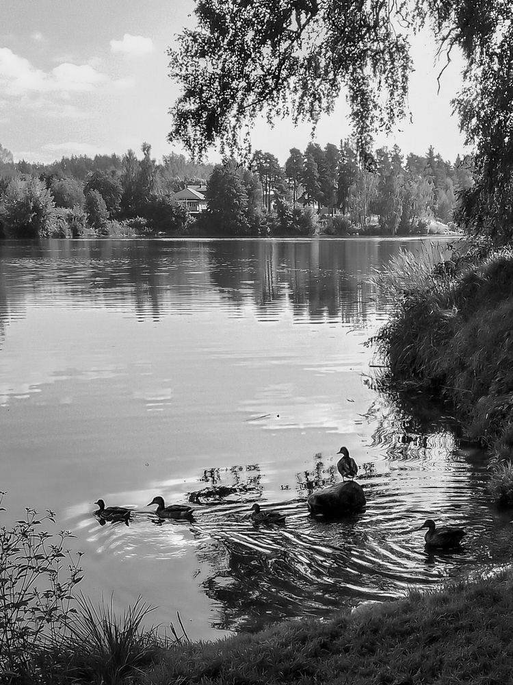 Photograph by Ксения Мельникова