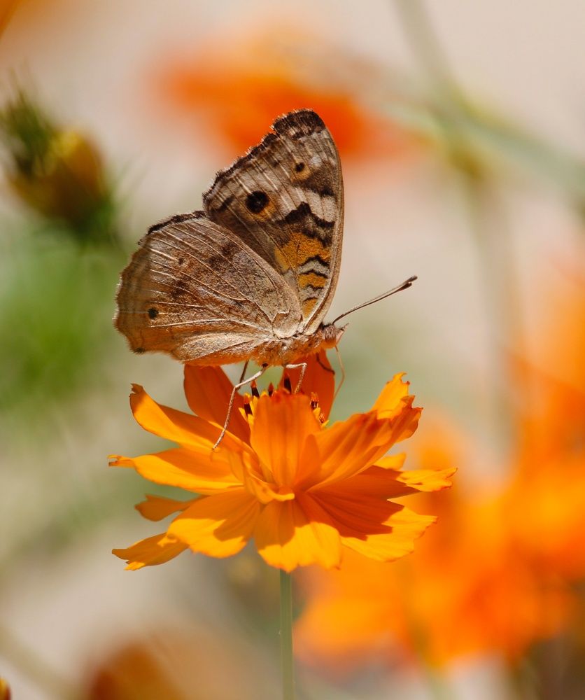 Photograph by Michelle Hart