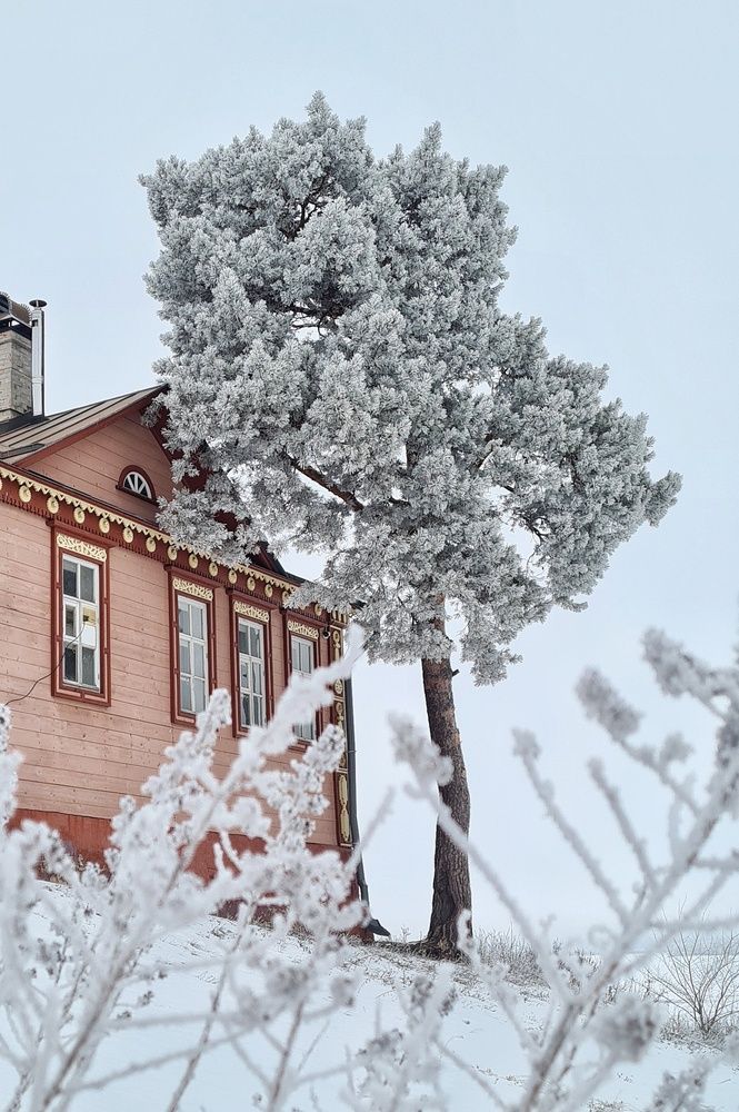 Photograph by Юлия