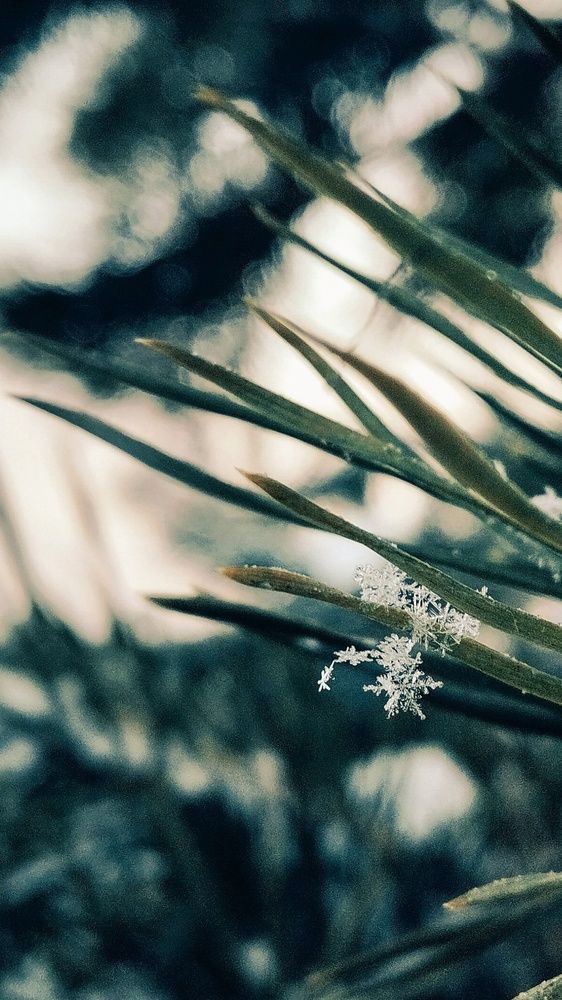 Фотография автора Есения Малышева