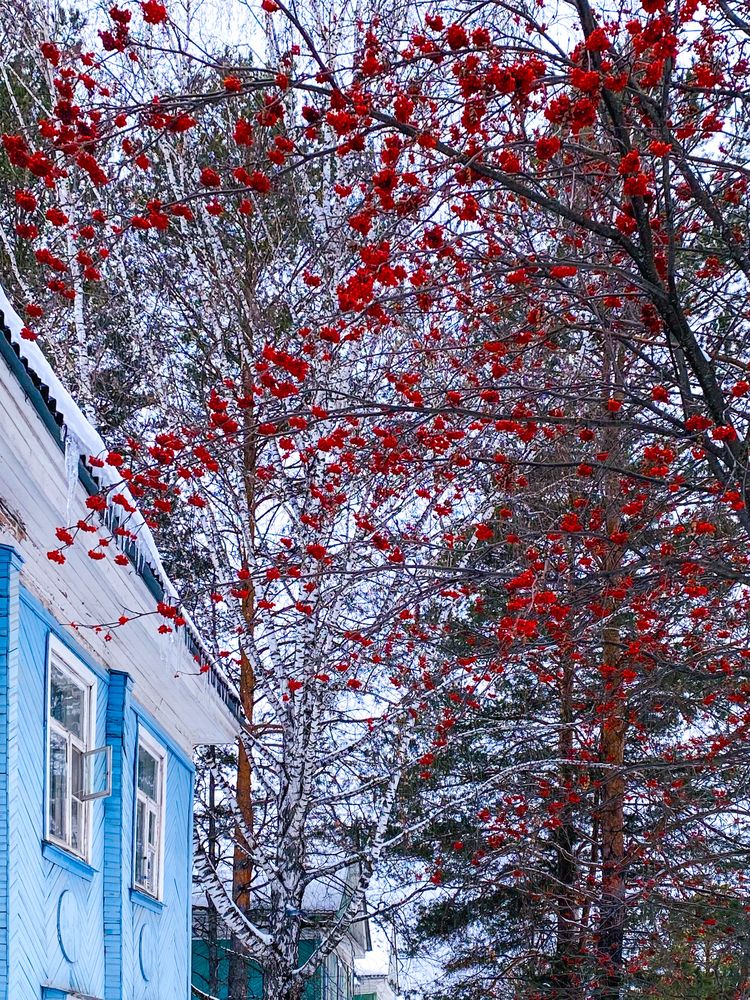 Photograph by Жанна Каргаполова