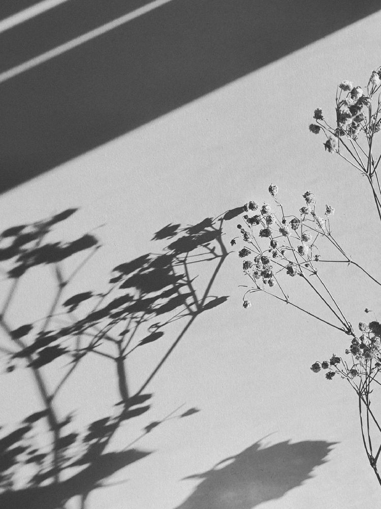 Фотография автора Екатерина Солодовник