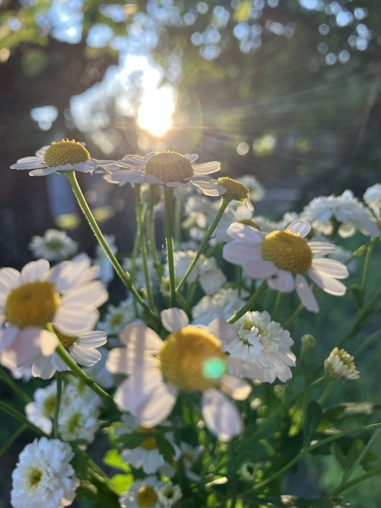 Photograph by Анастасия Позднякова
