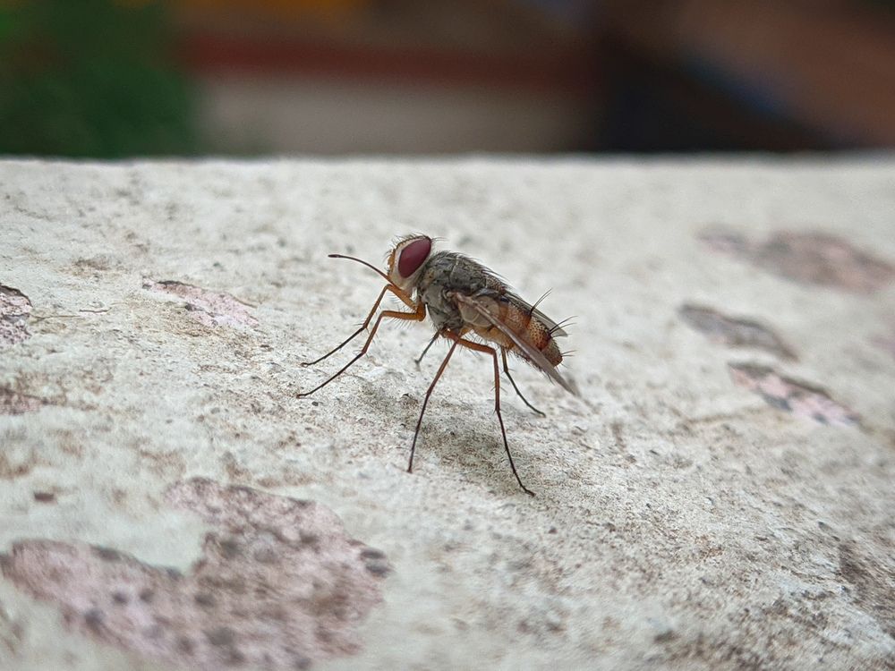 Photograph by Vijayakumar