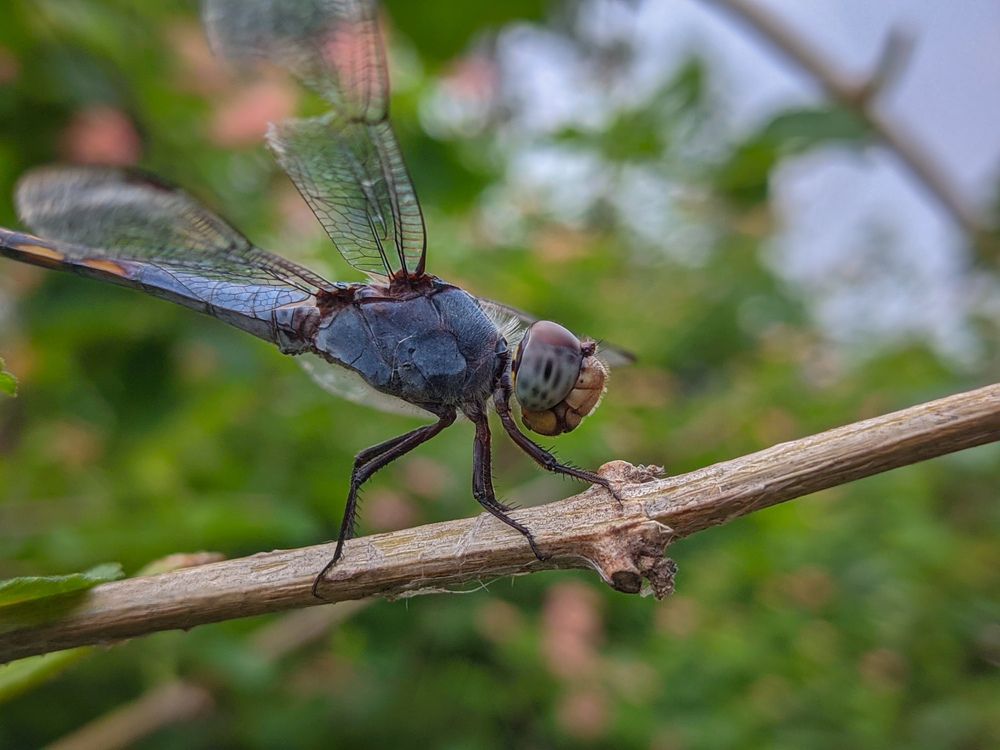 Photograph by Vijayakumar