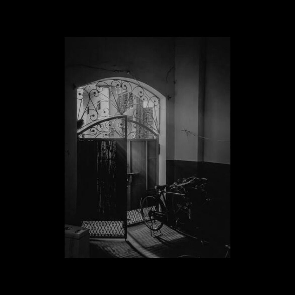 Photograph by Hamza Faraz