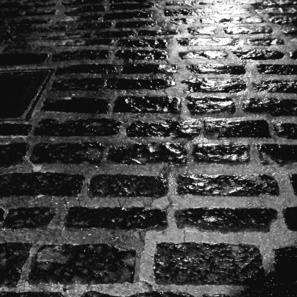 Photograph by WANDA OZIERANSKA