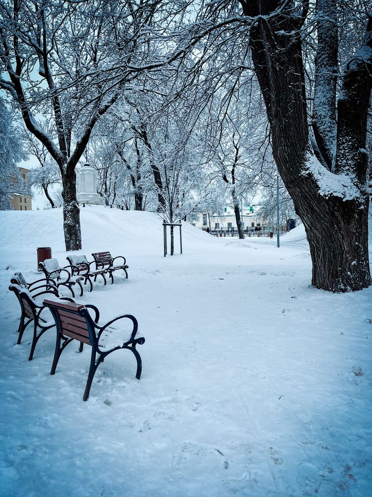 Photograph by Анна Белова