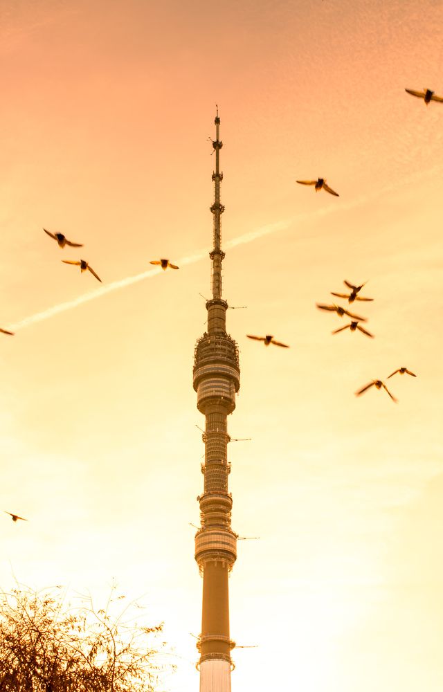 Фотография автора Денис Мартыновский