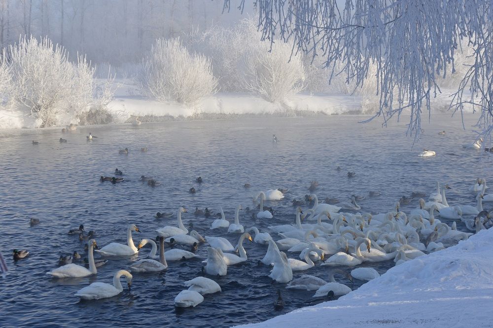 Photograph by Альфия Бикмухаметова