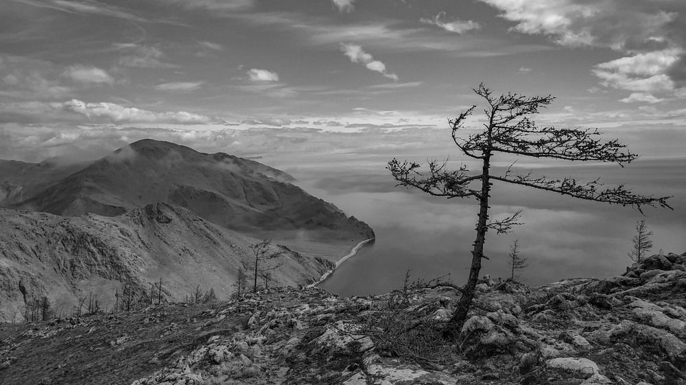 Фотография автора Александр Довганюк
