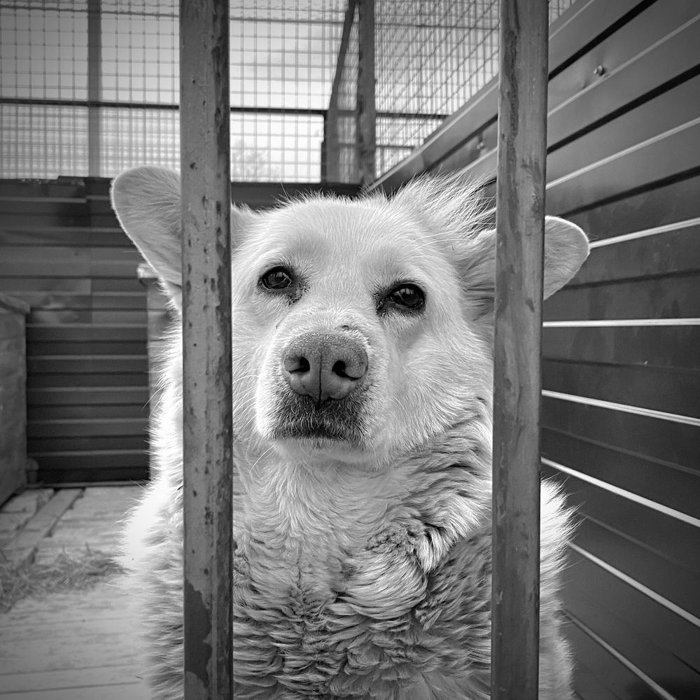 Photograph by Курдюмов Антон