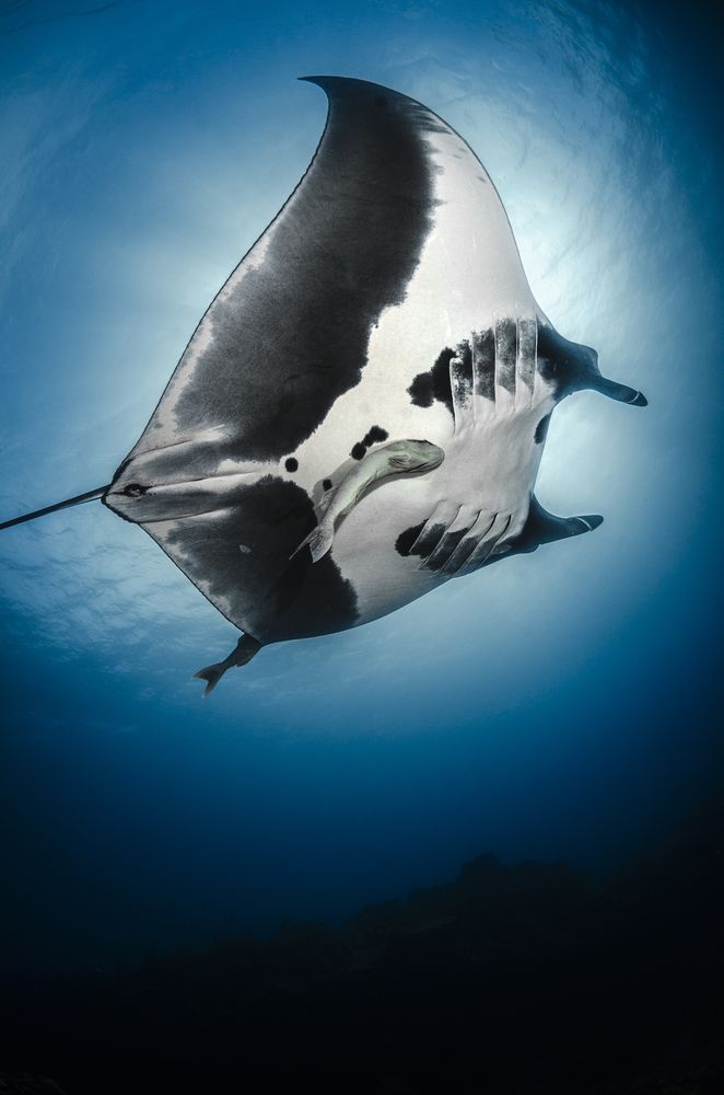 Photograph by ANTONIO RUVER BANDEIRA