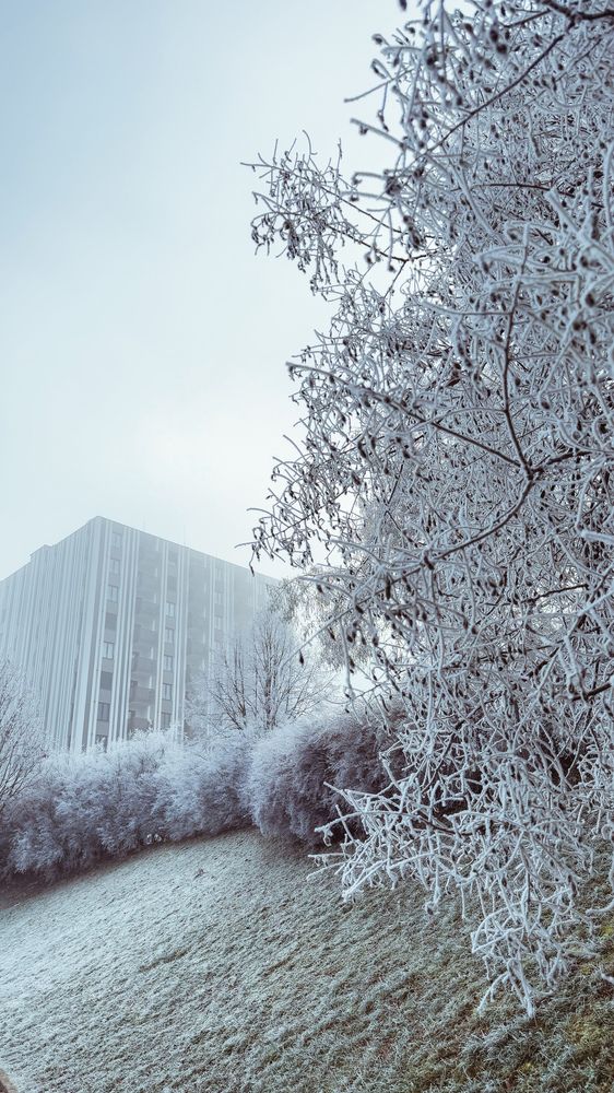 Photograph by Ольга Белостоцкая