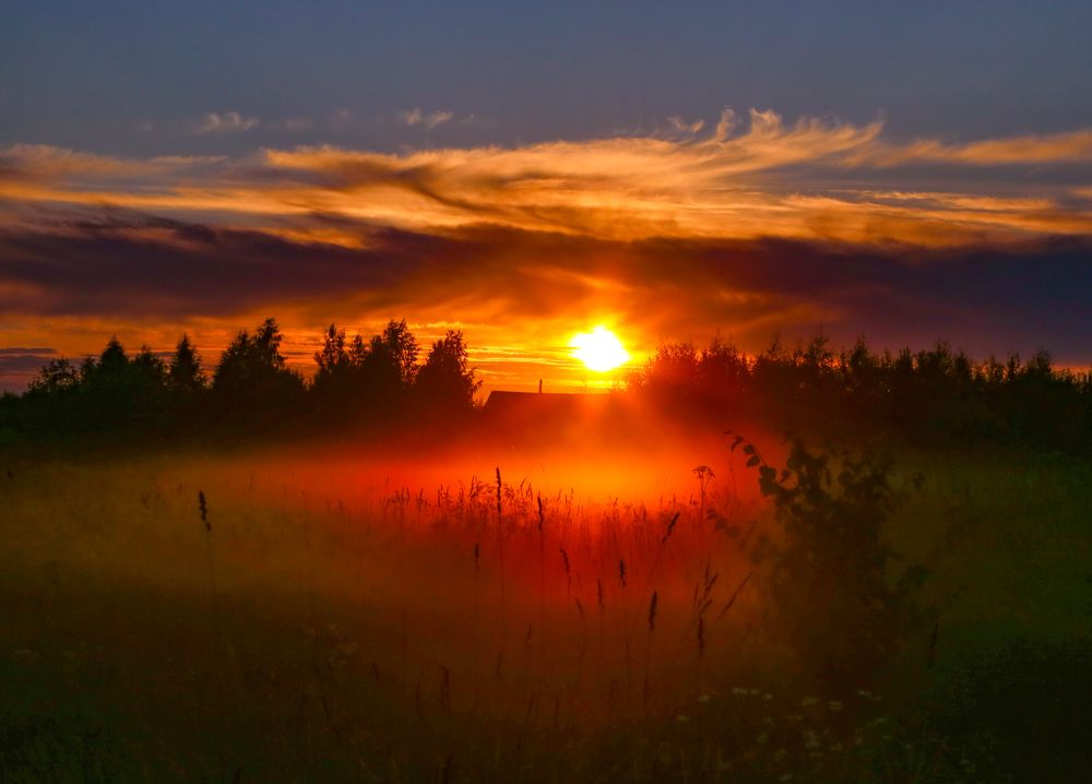 Photograph by Елена Васильева