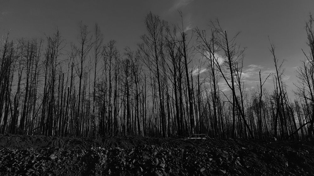 Фотография автора Оксана Антощук