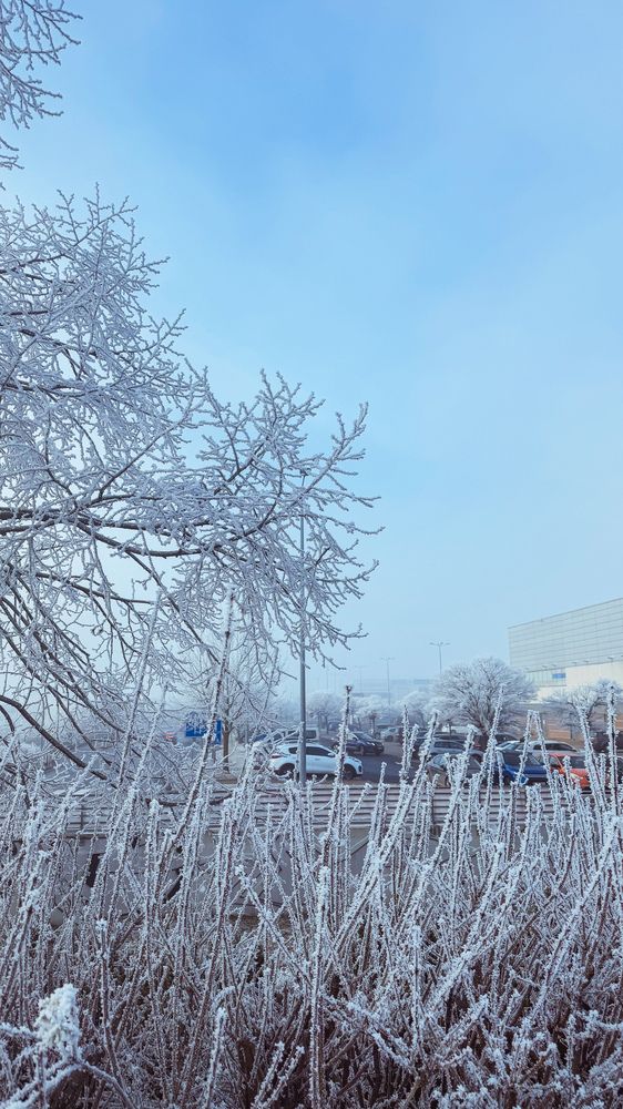 Photograph by Ольга Белостоцкая