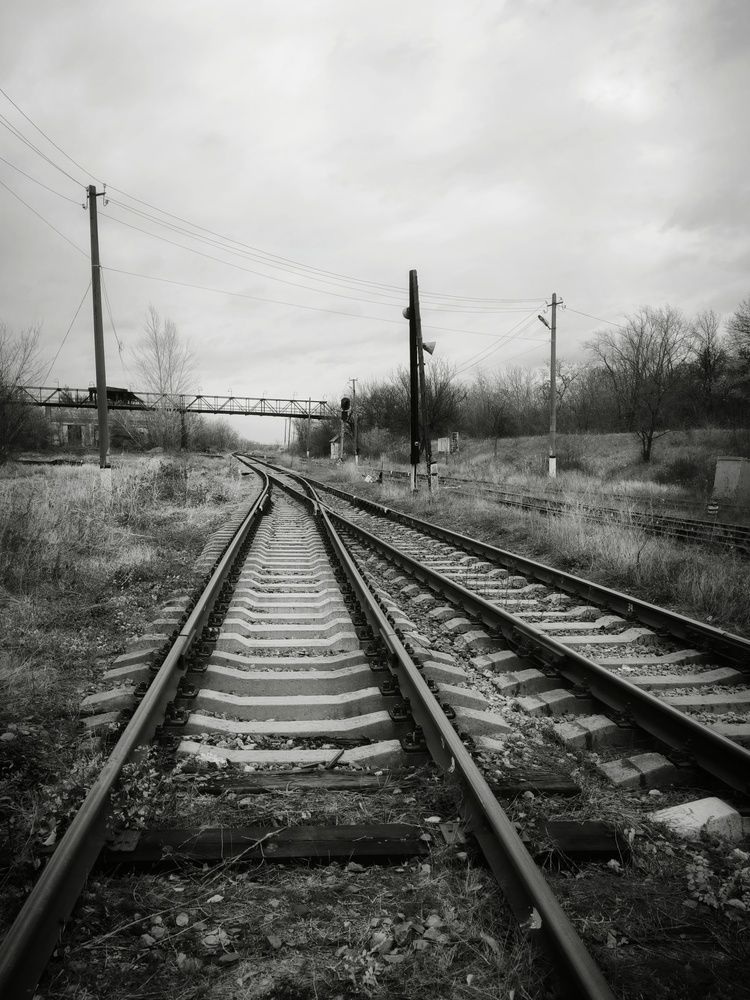 Photograph by Елена Чуб