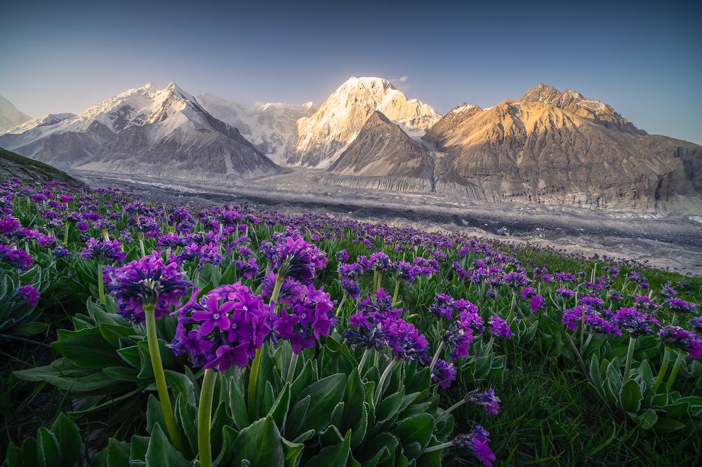 The Dawn of Tomur Peak