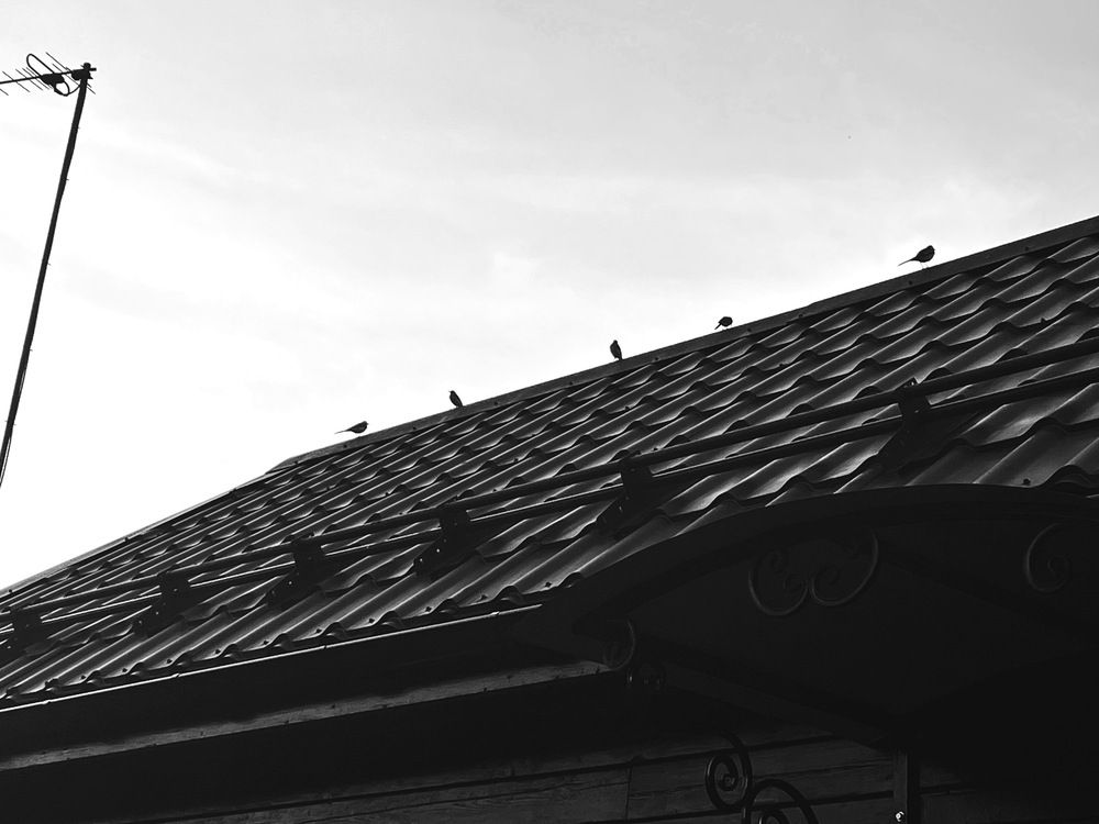 Photograph by Анна Петровская