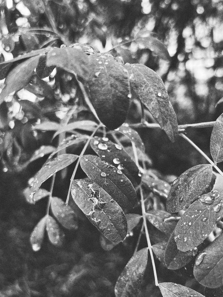 Photograph by Анна Петровская