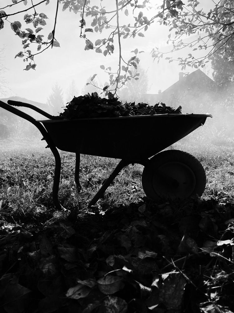 Photograph by Anastasia Bryusova