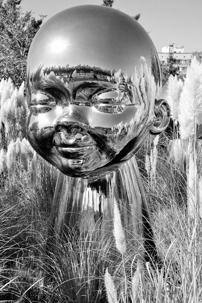 Photograph by Андрей Звездов