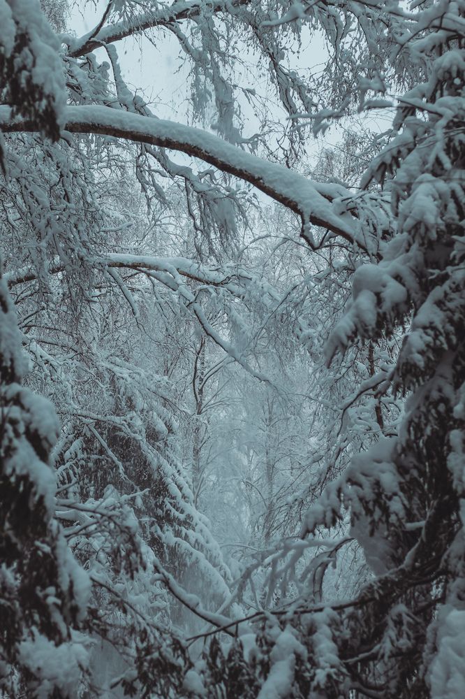 Photograph by Светлана Сергеева