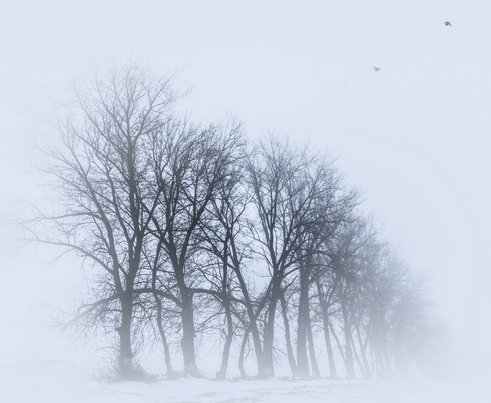Линейно-тонально-перспективный зимний пейзаж))