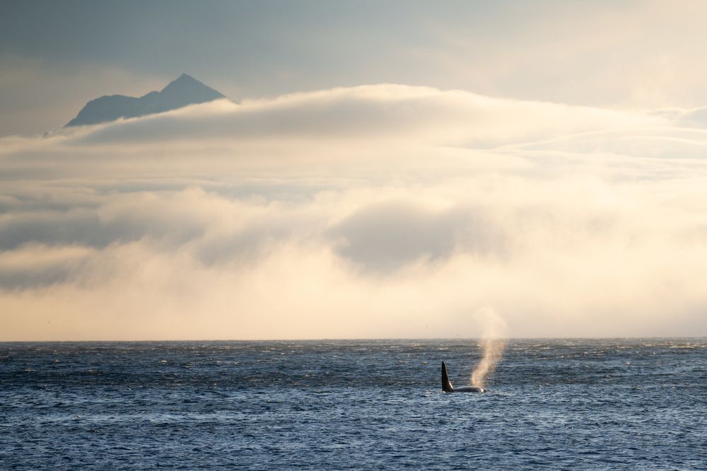 Photograph by Антон Агарков