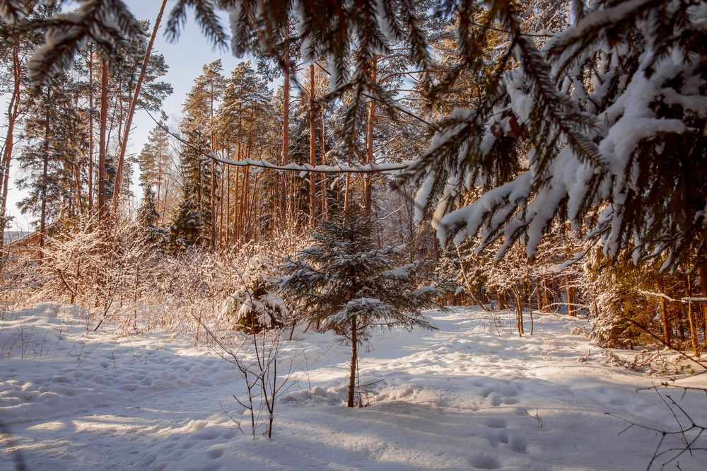 Фотография автора Онучина Юлия