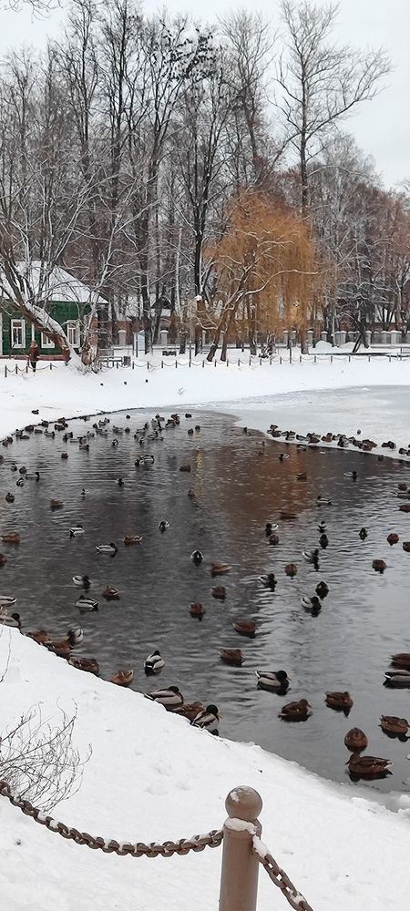 Photograph by Рита