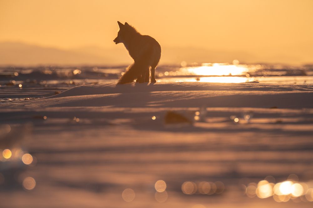 Photograph by Антон Агарков