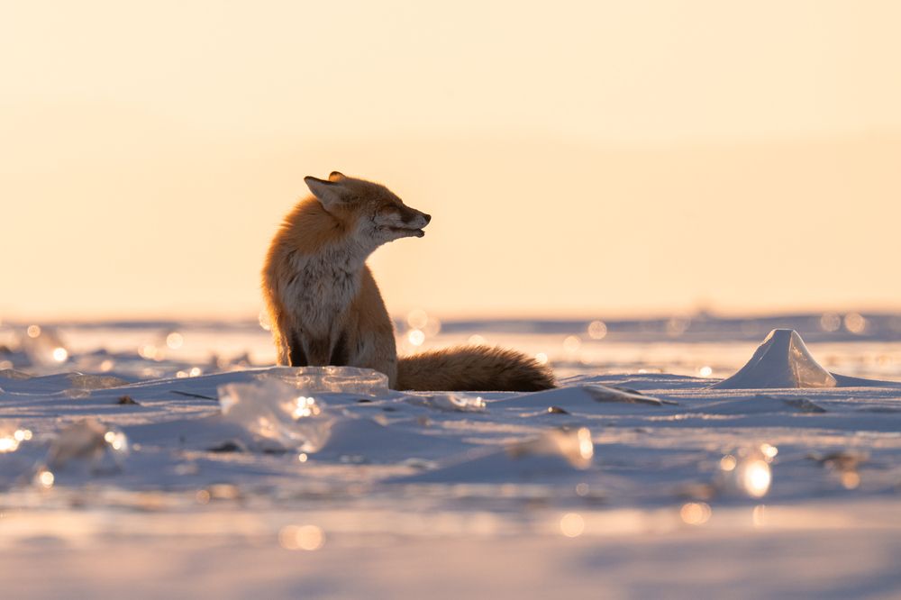 Photograph by Антон Агарков