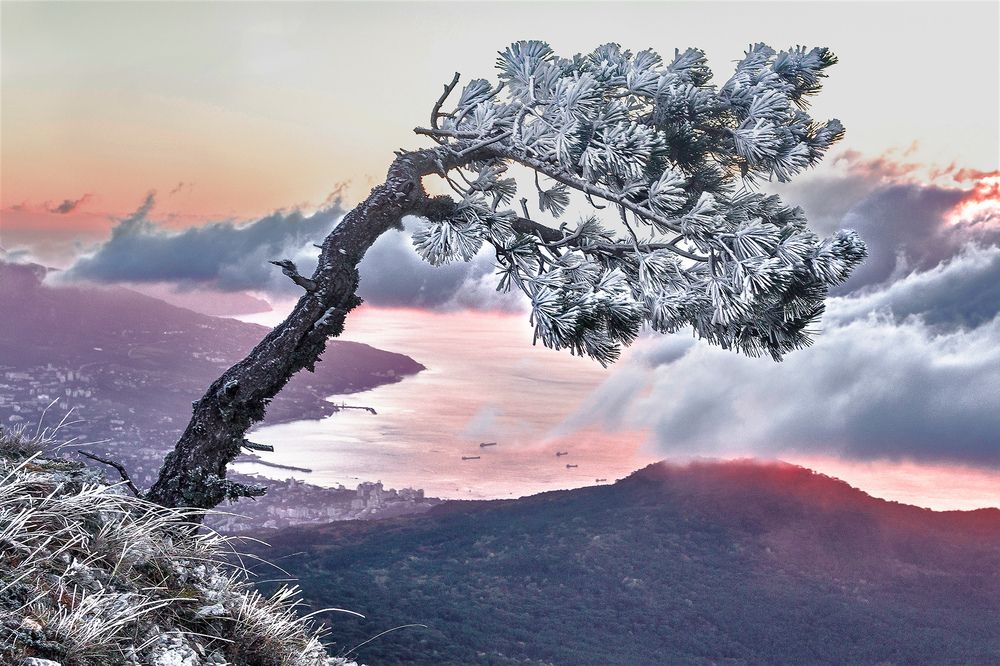 Photograph by Владимир Бочковский