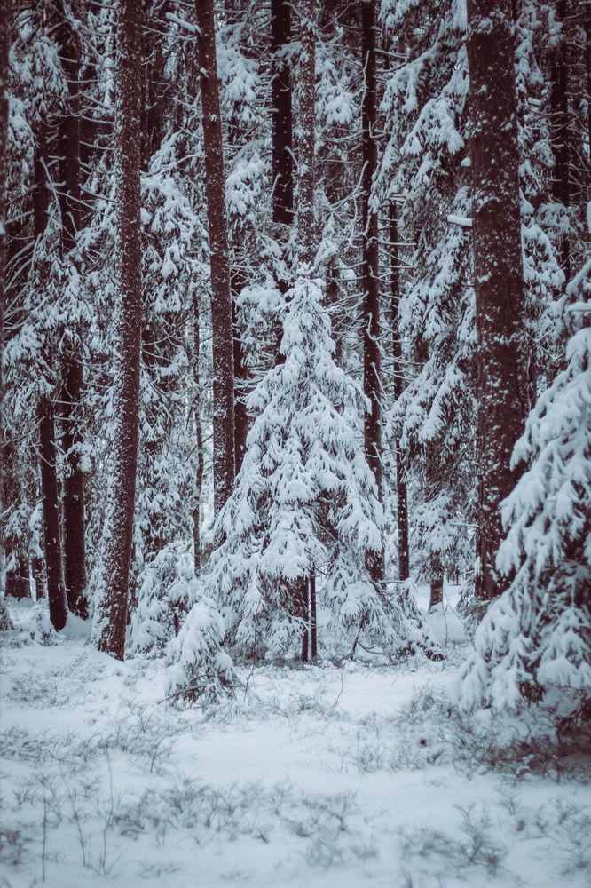 Photograph by Светлана Сергеева