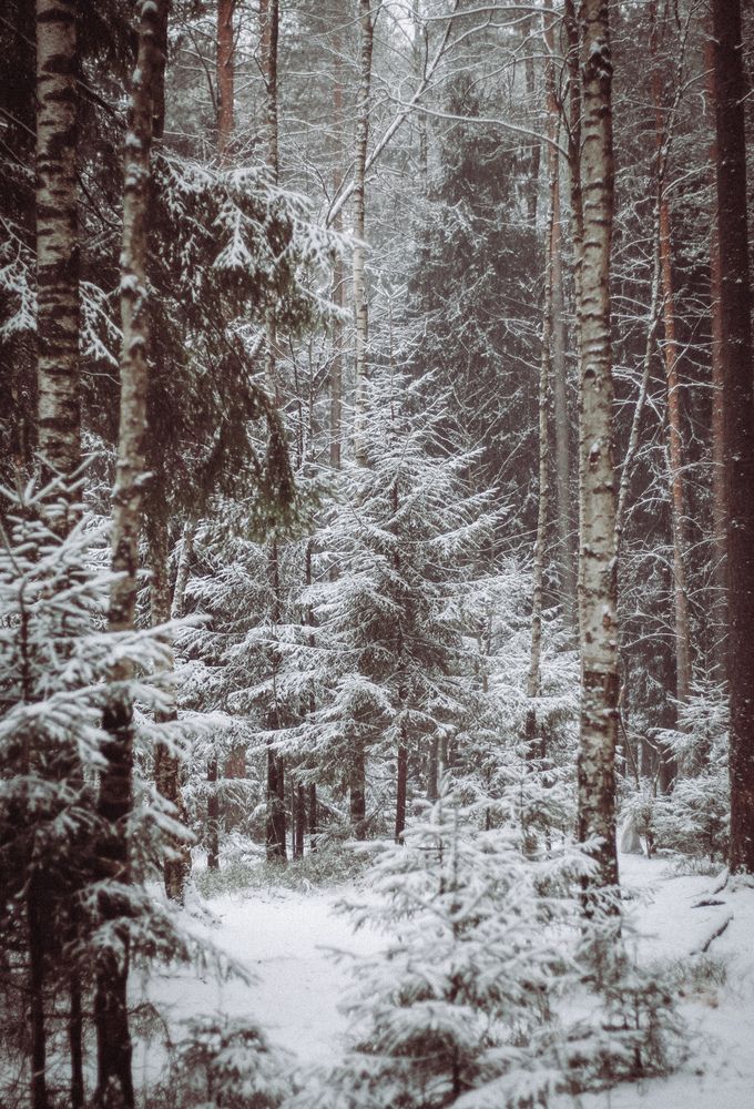 Photograph by Светлана Сергеева