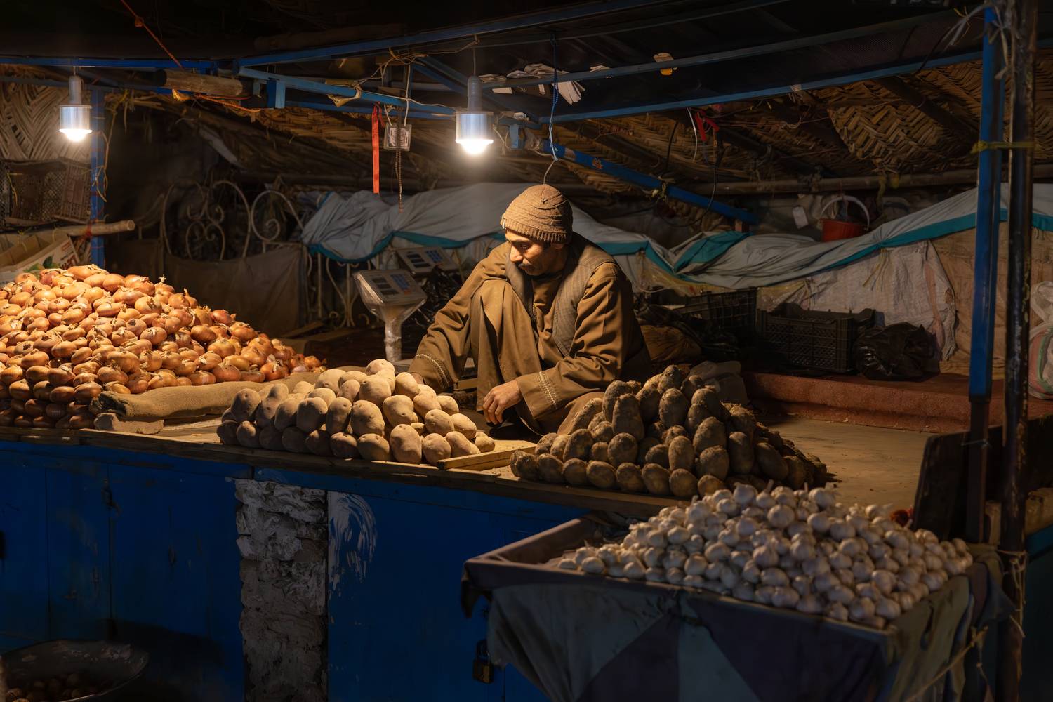 Фотография #11919491