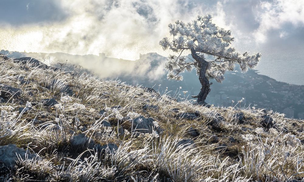 Photograph by Владимир Бочковский