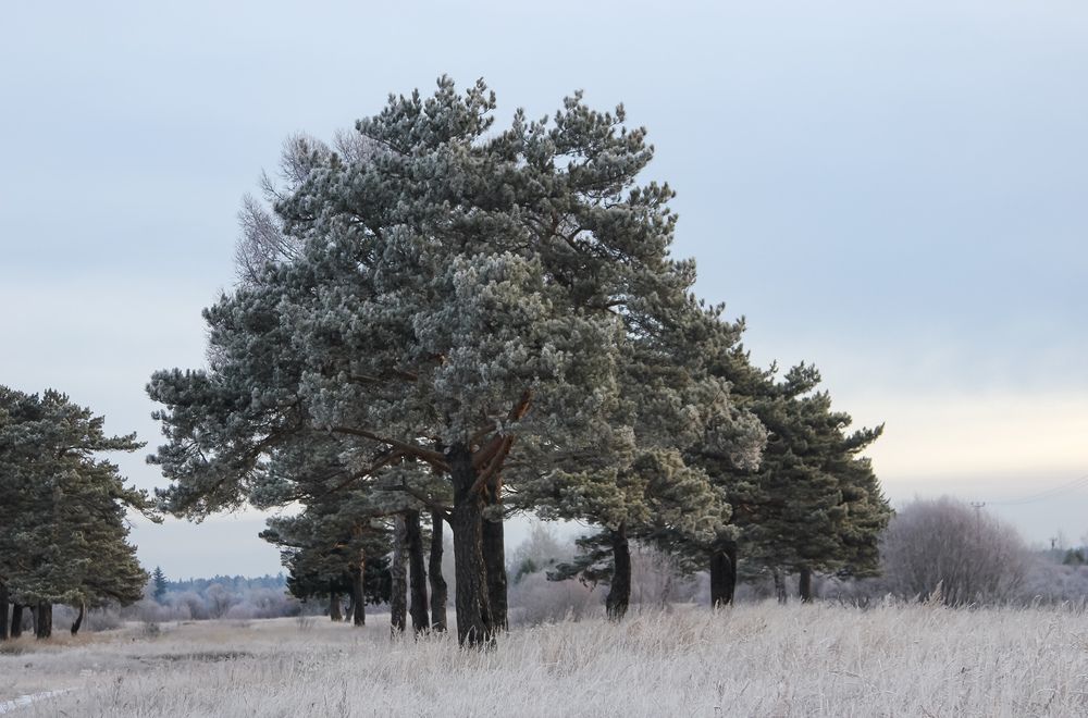 Photograph by Марина Мишутина