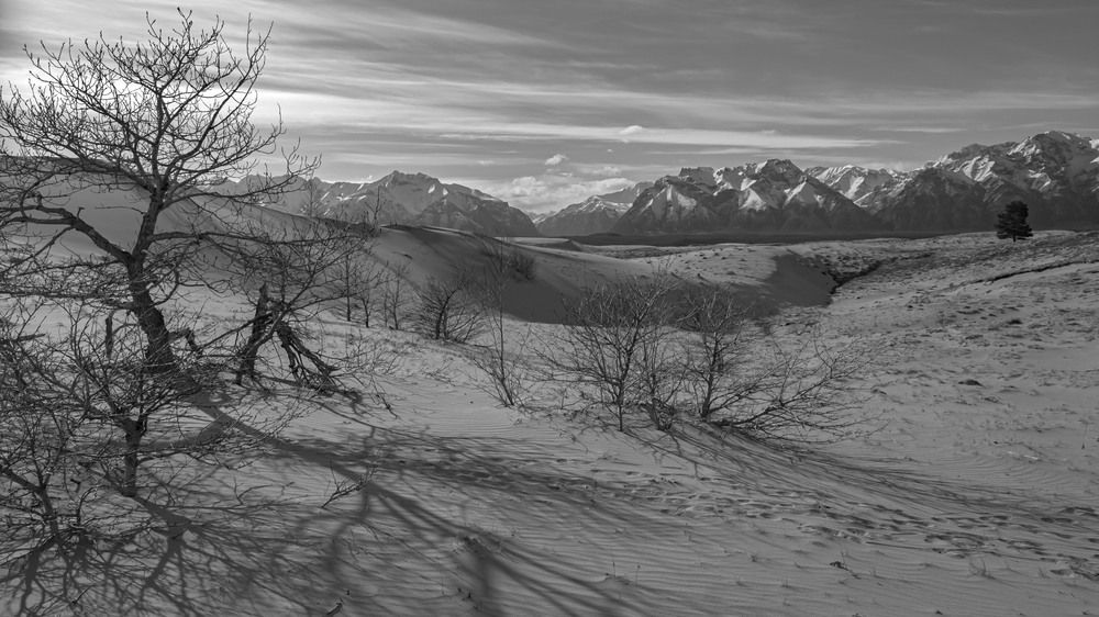 Фотография автора Александр Довганюк