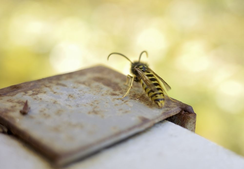 Photograph by Yana Egorova